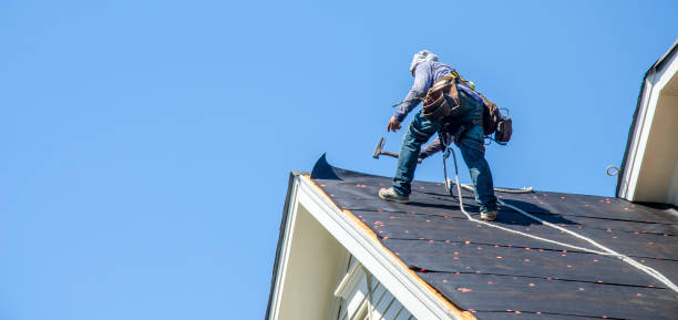 Best Metal Roofing Contractor  in Squirrel Mountain Valley, CA